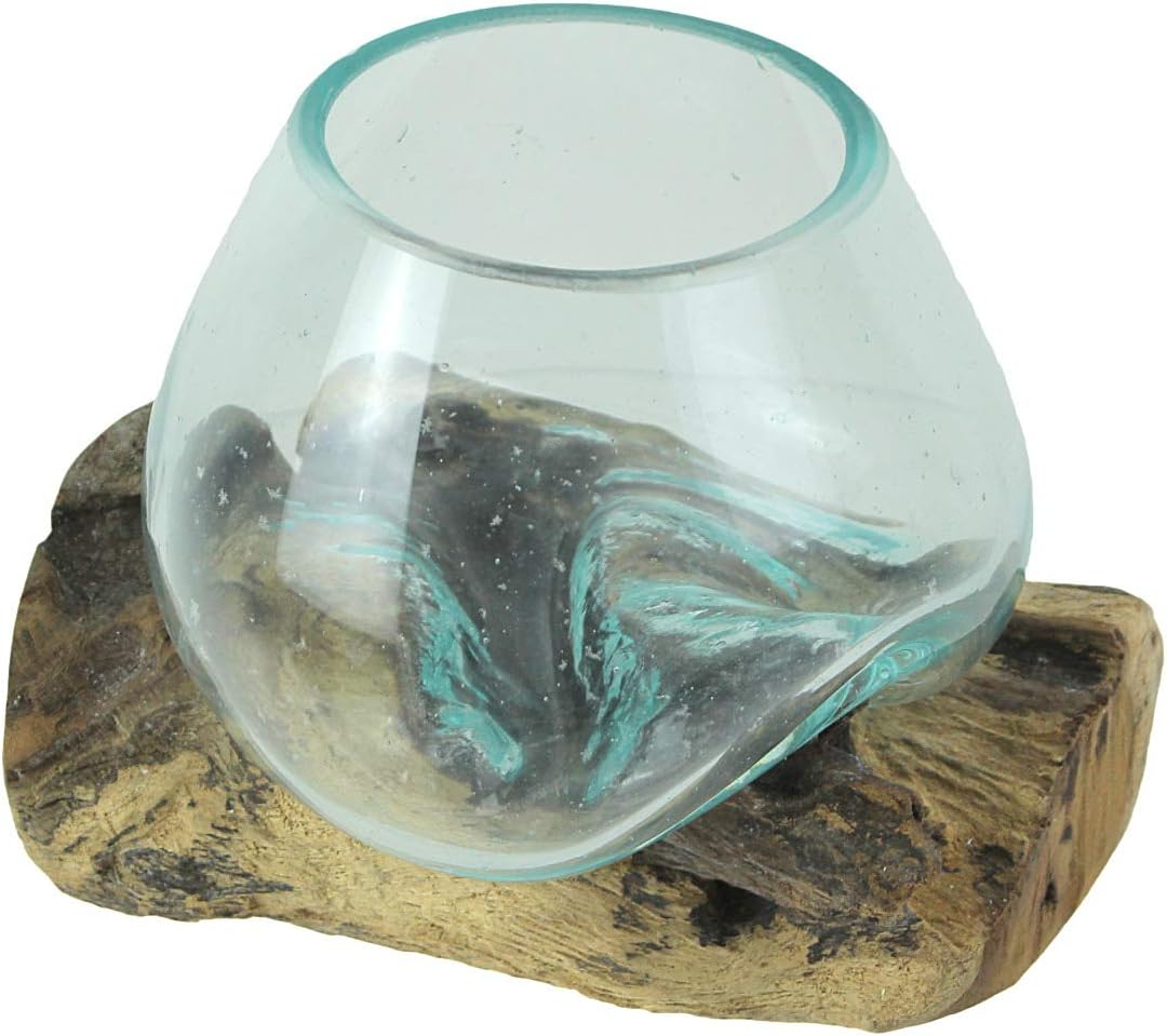 Things2Die4 Things2Die 6 in x 6 in x 5 in Blown Glass On Teak Wood Decorative Mini Terrarium