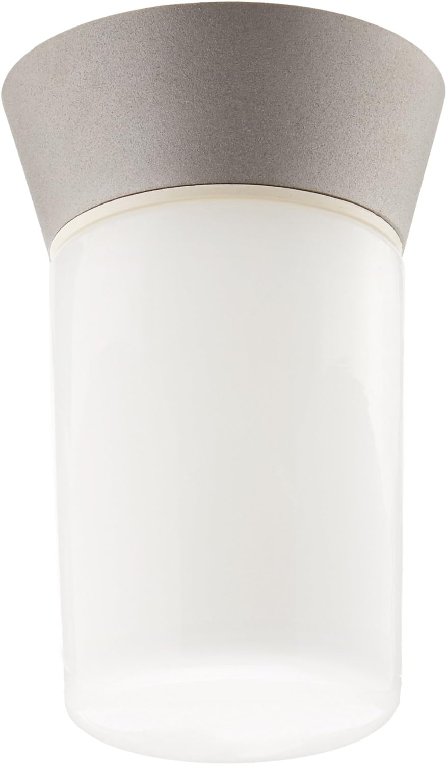 Wrought Studio™ Olmos 1 - Bulb Outdoor Flush Mount