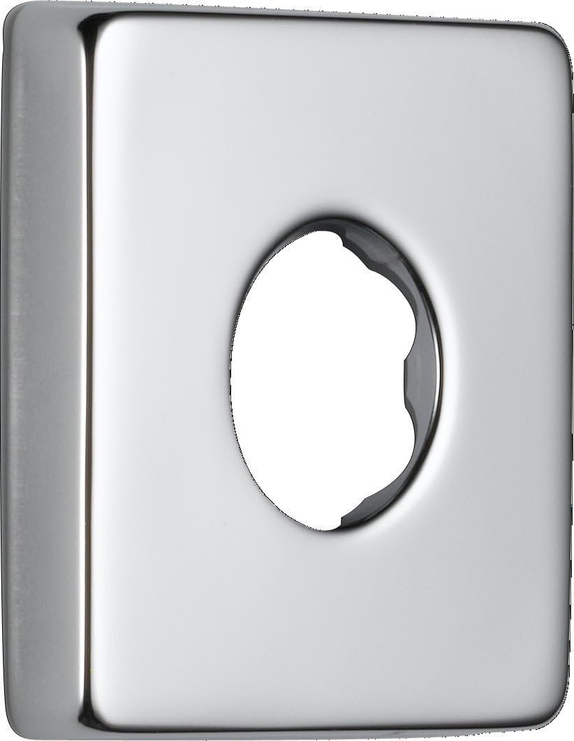 Vero Shower Arm Flange