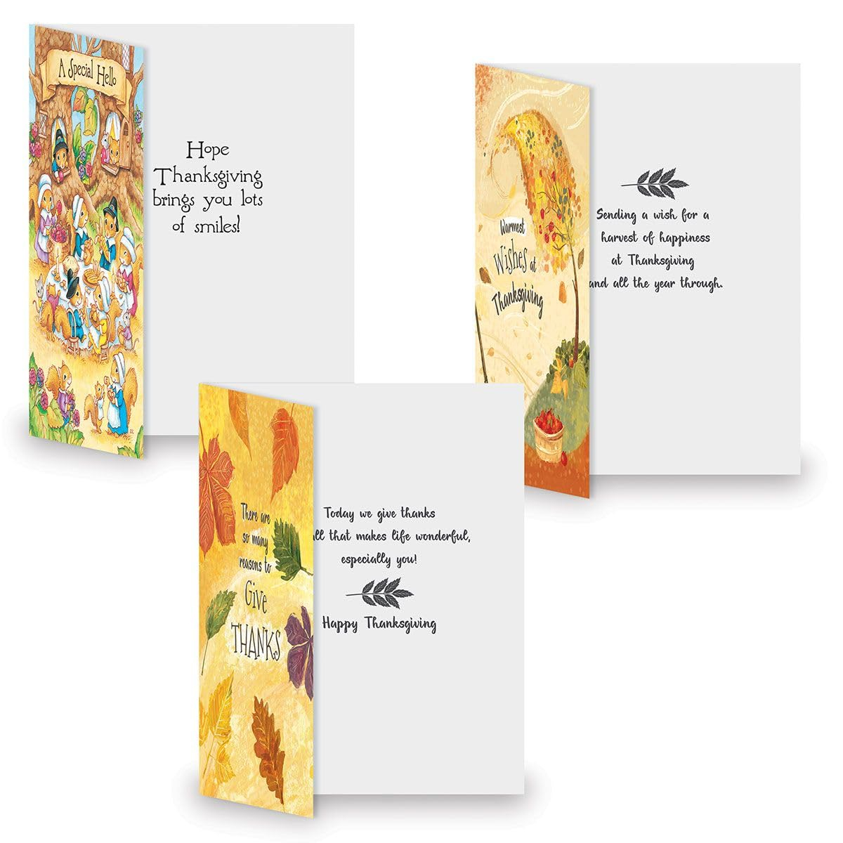 Current Family & Friends Thanksgiving Cards Value Pack - 12 Large 5 x 7-Inch