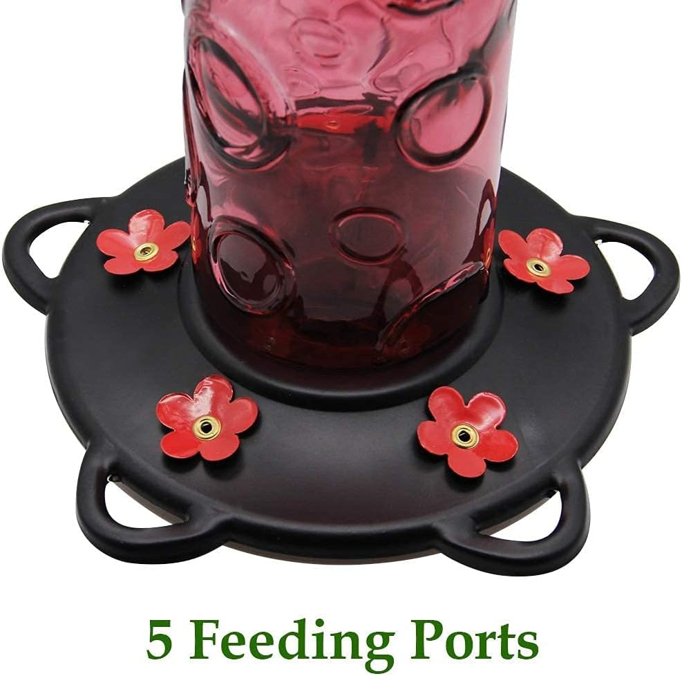 Juegoal 28 oz Glass Hummingbird Feeders for Outdoors, Wild Bird Feeder with 5 Feeding Ports, Metal Handle Hanging for Outdoor Garden Tree Yard, Red