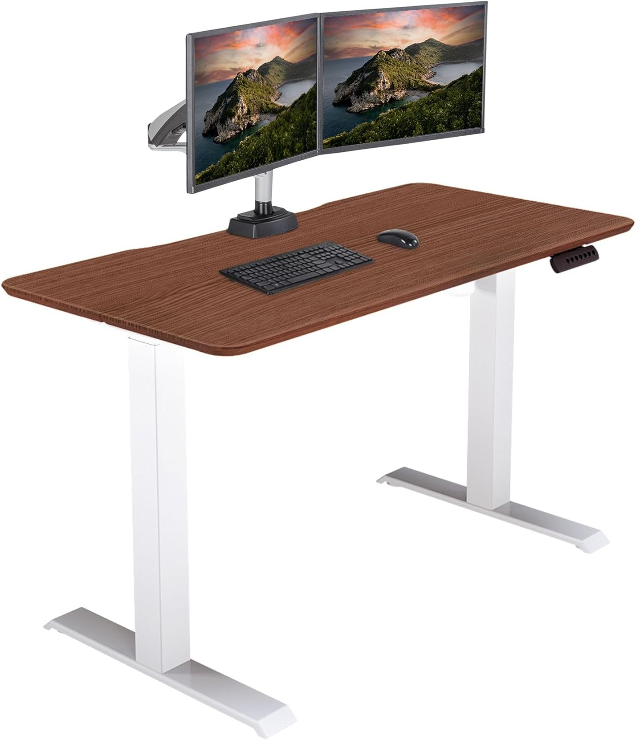 Vari Essential Electric Standing Desk Ergonomic Sit-to-Stand Home & Office Computer Desk, 48" x 24" Hazel Wood