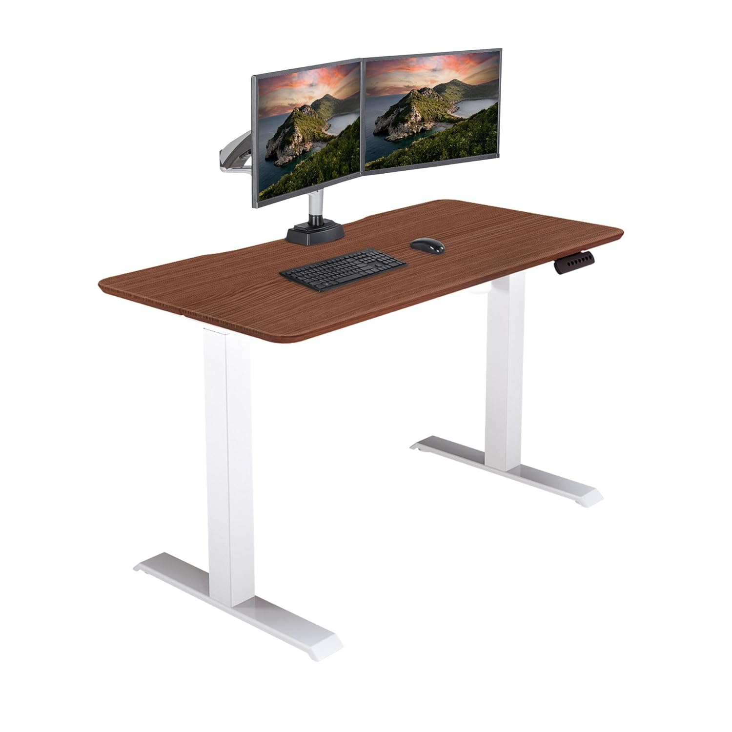 Vari Essential Electric Standing Desk Ergonomic Sit-to-Stand Home & Office Computer Desk, 48" x 24" Hazel Wood