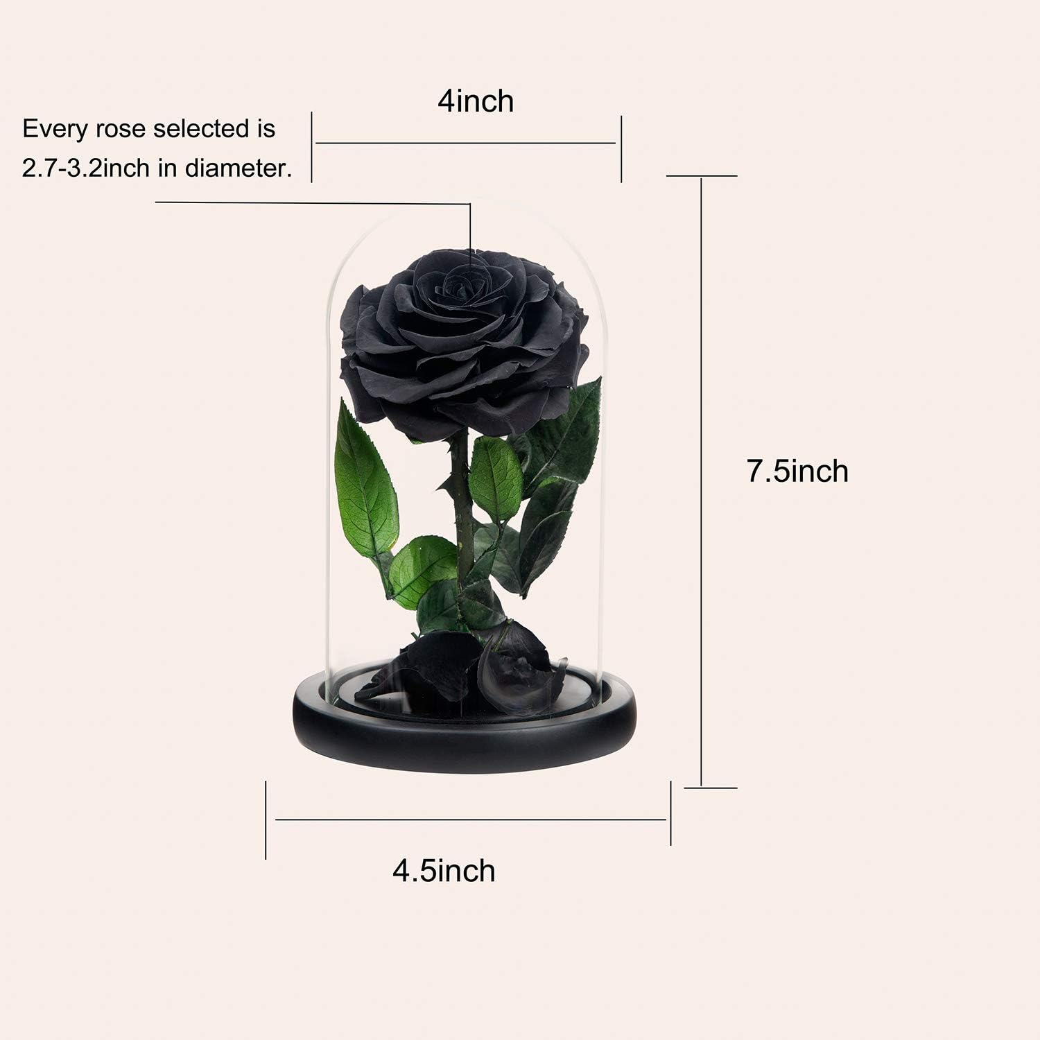 Handmade Preserved Black Rose in Glass Dome for Valentine's Day