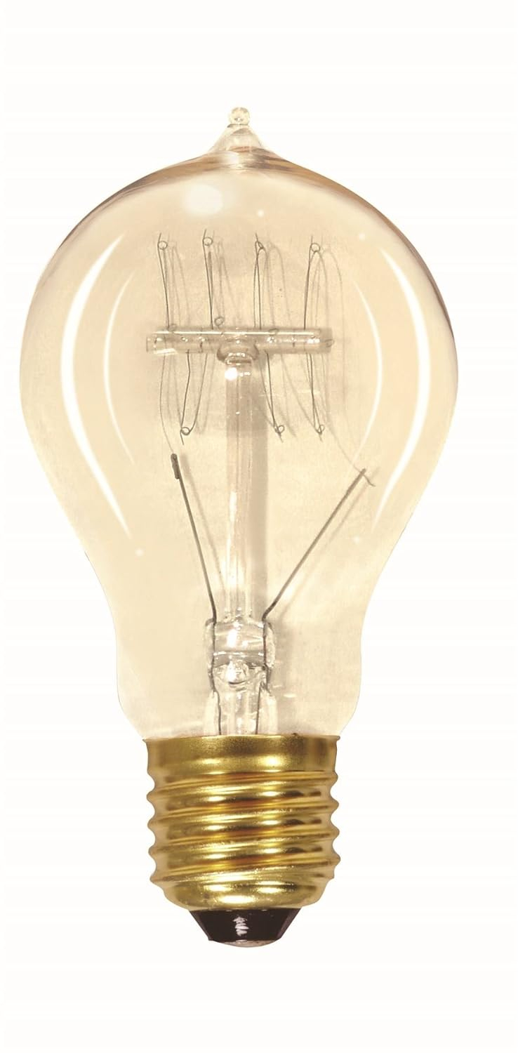 Vintage Clear Quad Loop Filament Incandescent Edison Bulb, A19