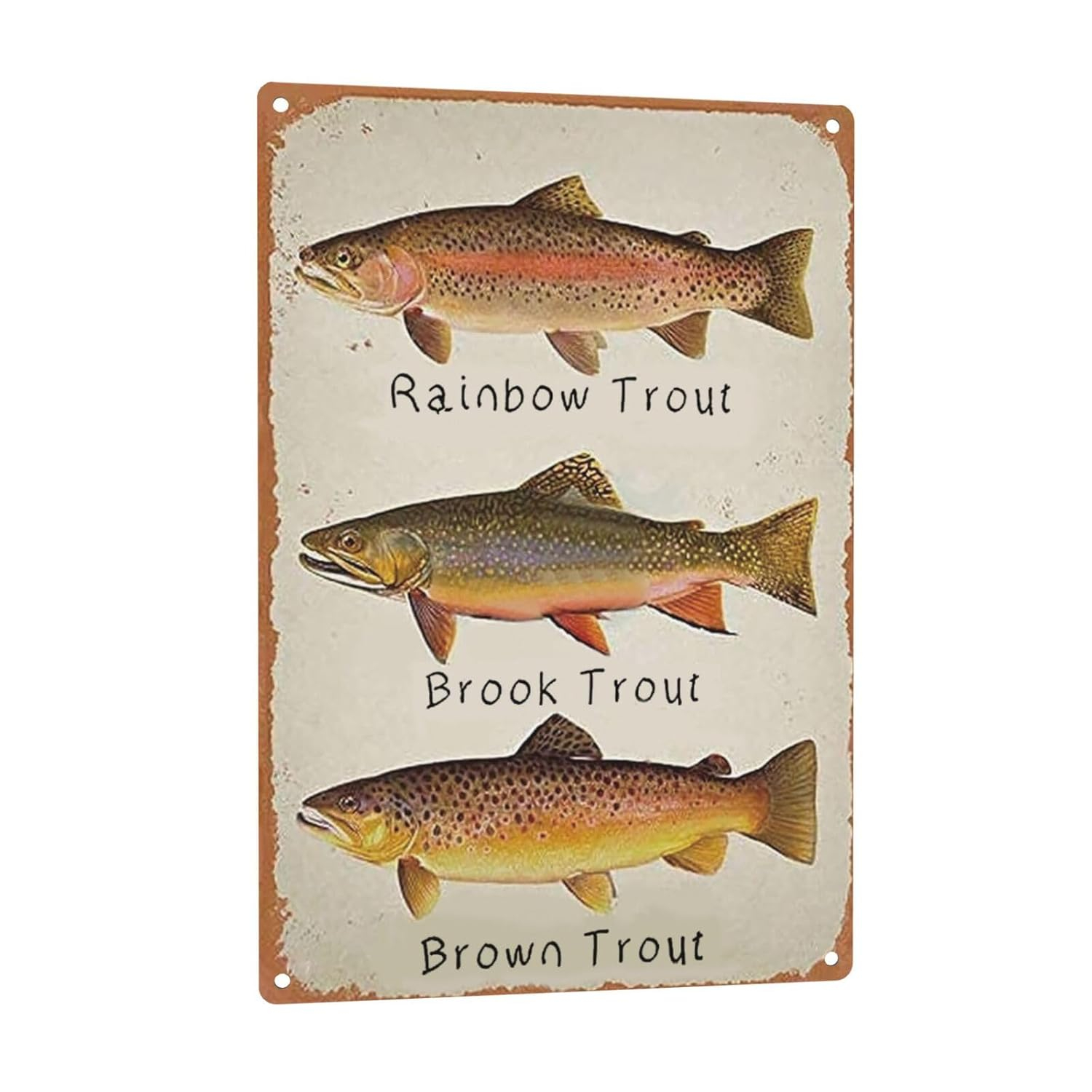 GCOCL Rainbow Trout Brook Trout Brown Trout Retro Metal Decor Wall Plaque Vintage Tin Sign for House Cafe Club Home Or Bar