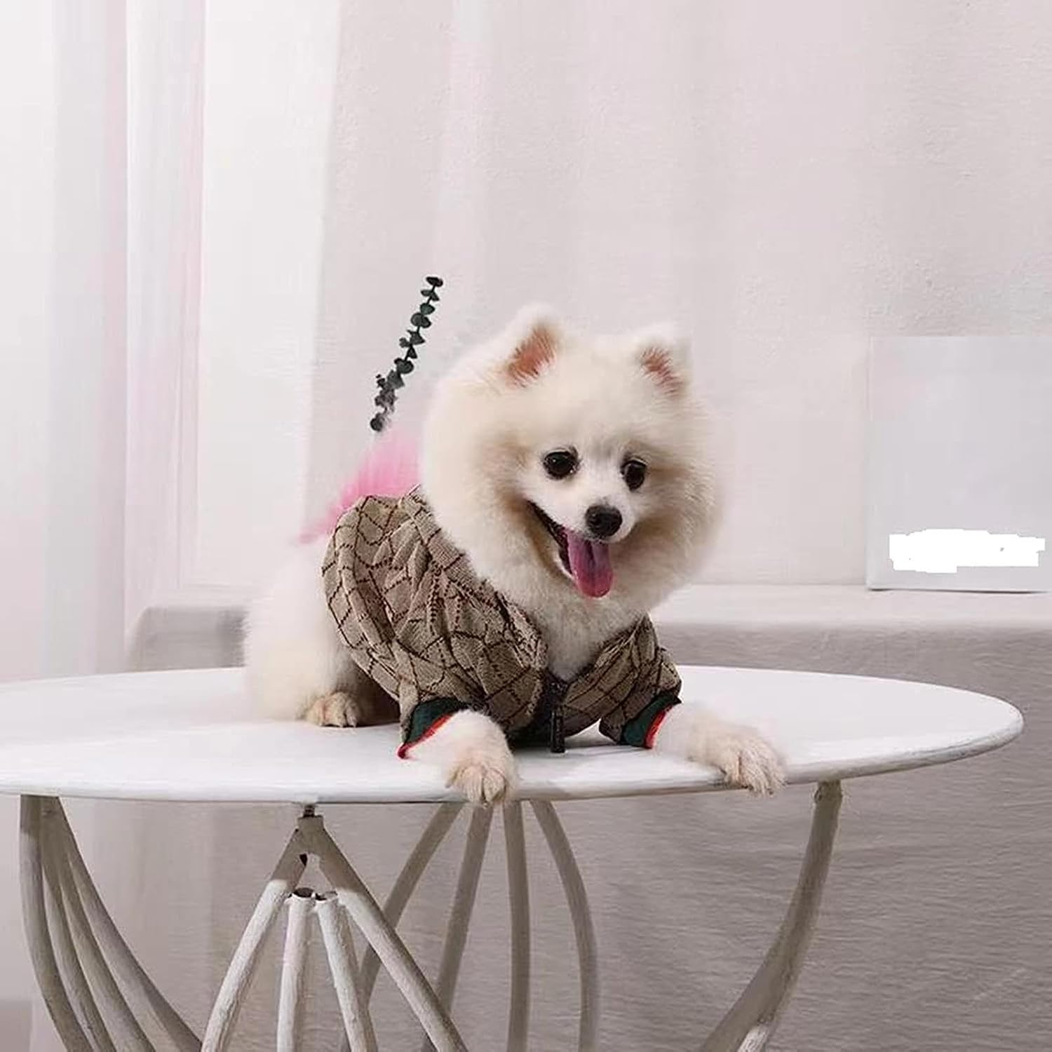 Dog Hoodie Luxury Winter Small Dog Jacket Clothes Classic Designer Warm Pet Coats Zipper Design Easy On/Off French Bulldog Teddy Pug Puppy Clothes(S)