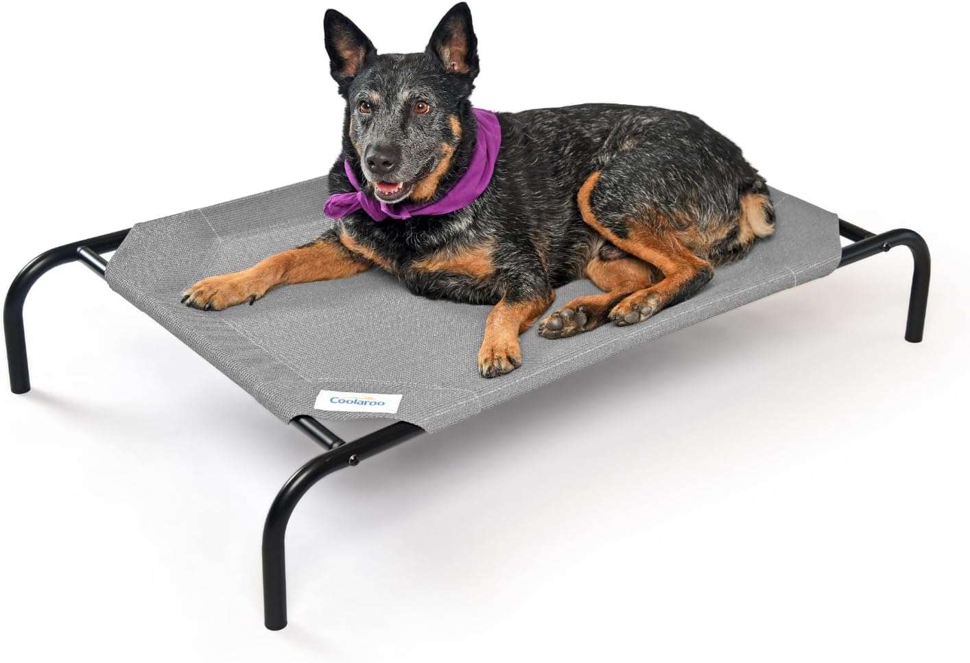 The Original Coolaroo Elevated Pet Dog Bed for Indoors & Outdoors, Medium, Gray