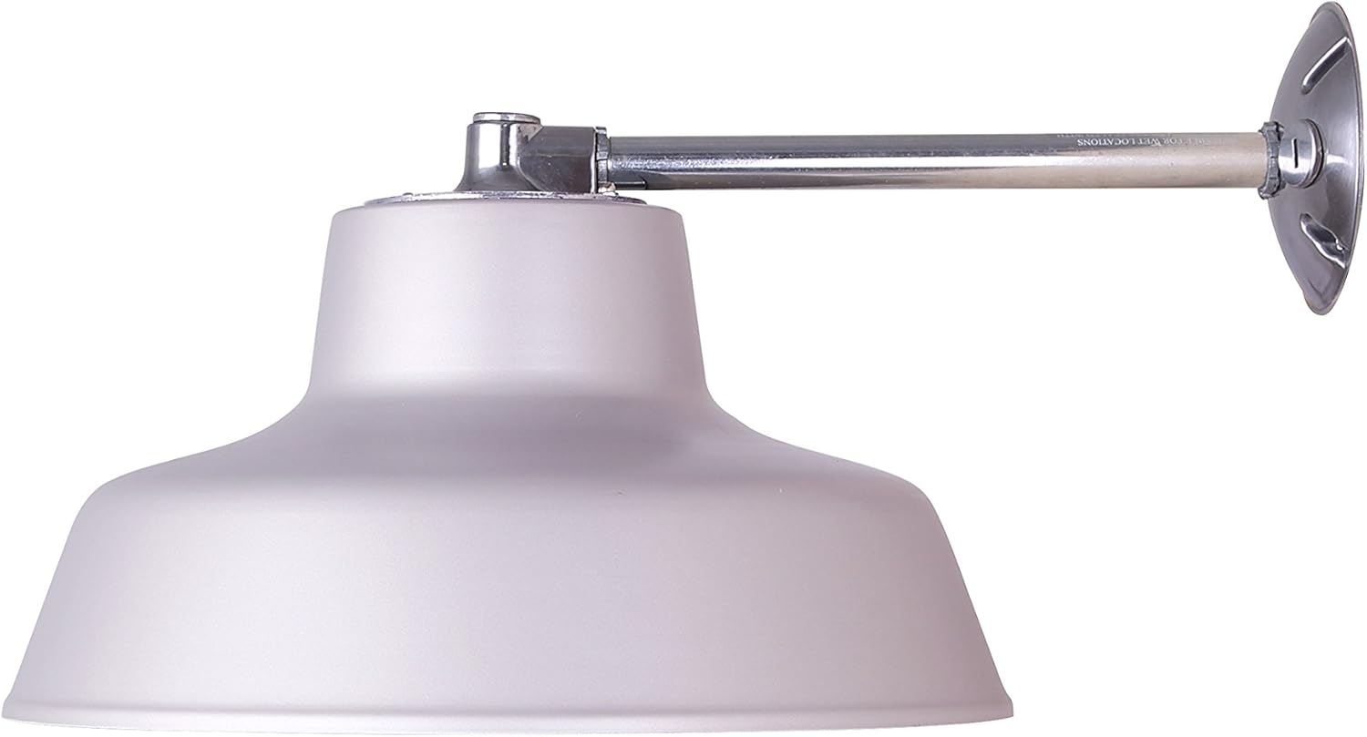 Canarm BL14CWS All Weather 1-Bulb Ceiling or Wall Mount All Weather Light with Clear Glass Globe, Grey Medium