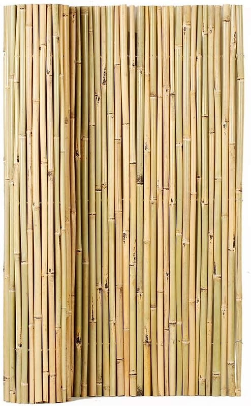 4 ft. H x 6 ft. W Natural Bamboo Fence