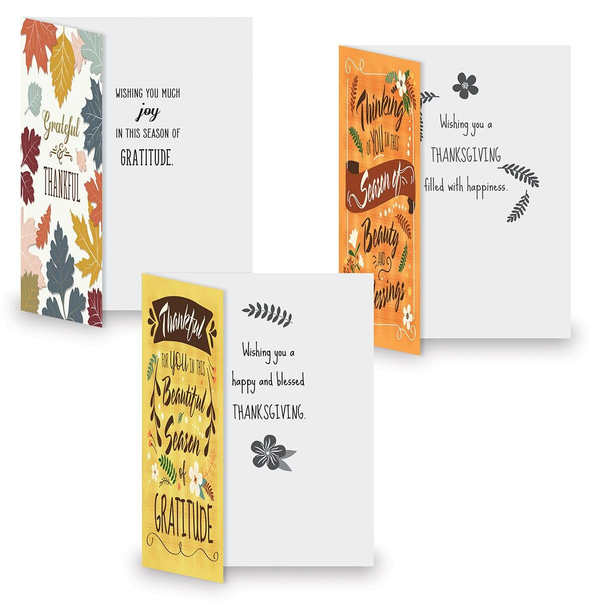 Current Family & Friends Thanksgiving Cards Value Pack - 12 Large 5 x 7-Inch