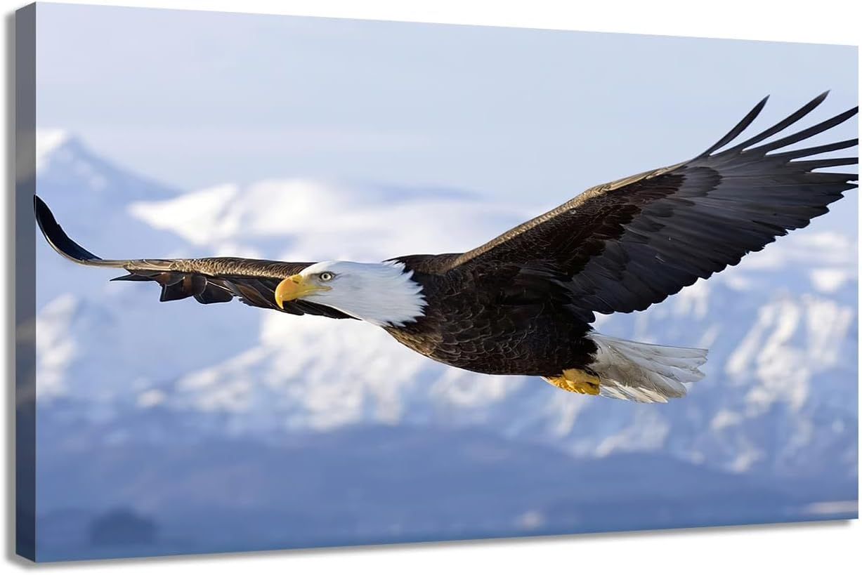 AFLE Bald Eagle Poster,Flying Bird Wildlife,Canvas Wall Art For Living Room Decor Aesthetic Vintage Posters & Prints,College Posters For Guys Cuadros Para Dormitorios,16x24 inches,Unframed
