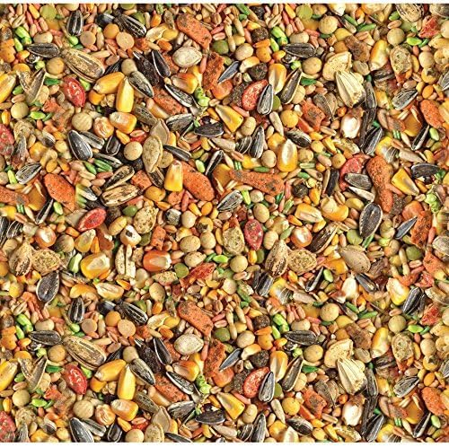 Wild Harvest Parrot Advanced Nutrition Diet Dry Bird Food, 8 lbs