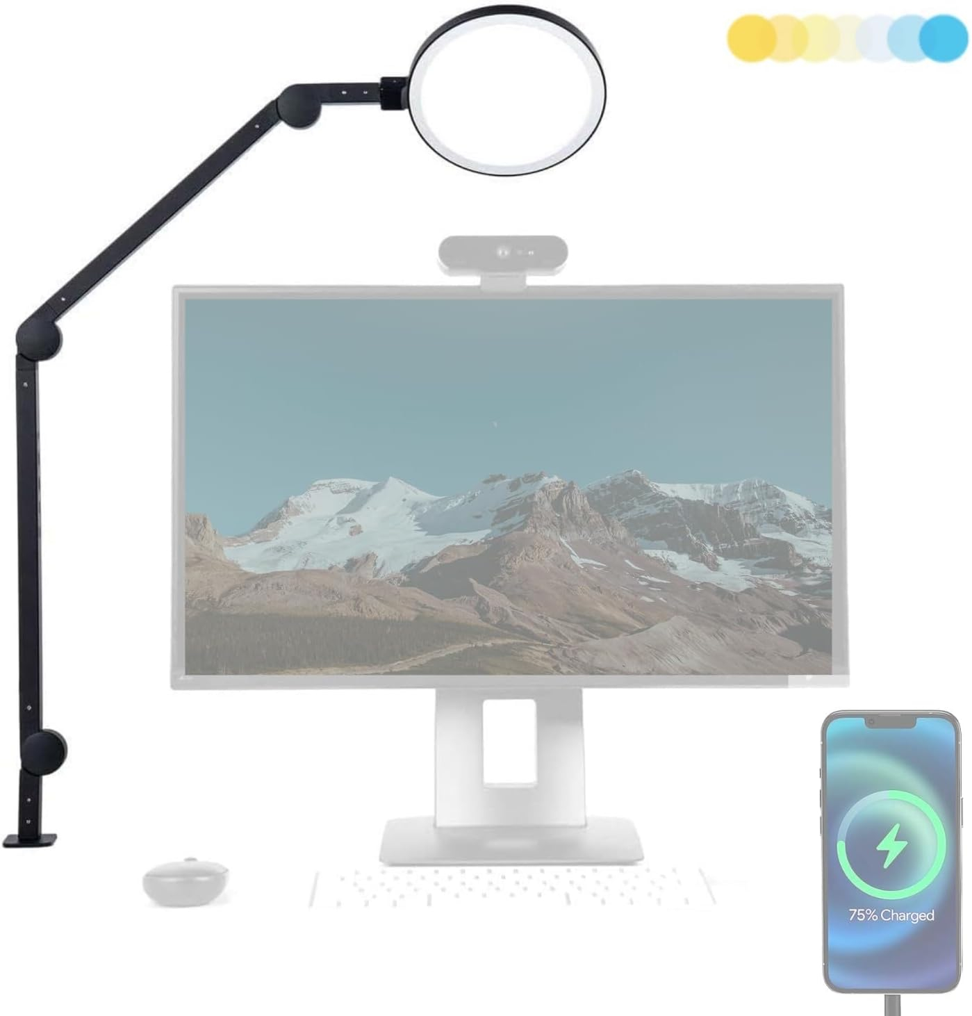 Adjustable Black Clip-on LED Desk Lamp