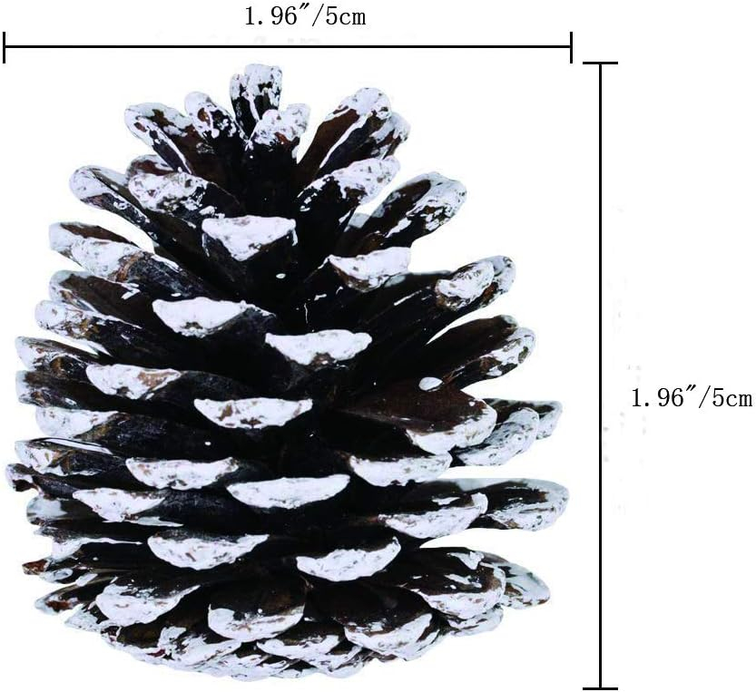 Yahpetes 12 Pcs Christmas Pine Cones 1.96" Snow Tipped Natural Pine Cone Decorations Christmas Rustic Pinecone Ornaments for Decorating and Designing(12 pcs)