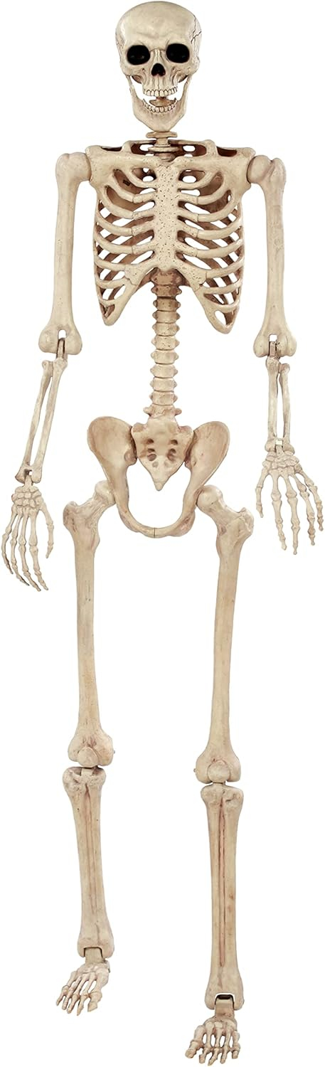 Crazy Bonez Pose-N-Stay Life Size 6 FT Skeleton with Realistic Posable and Movable Joints for Halloween Indoor and Outdoor Decoration
