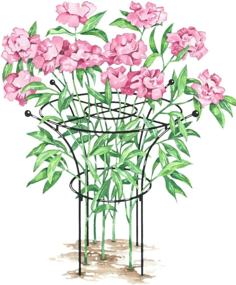 Essex Plant Supports