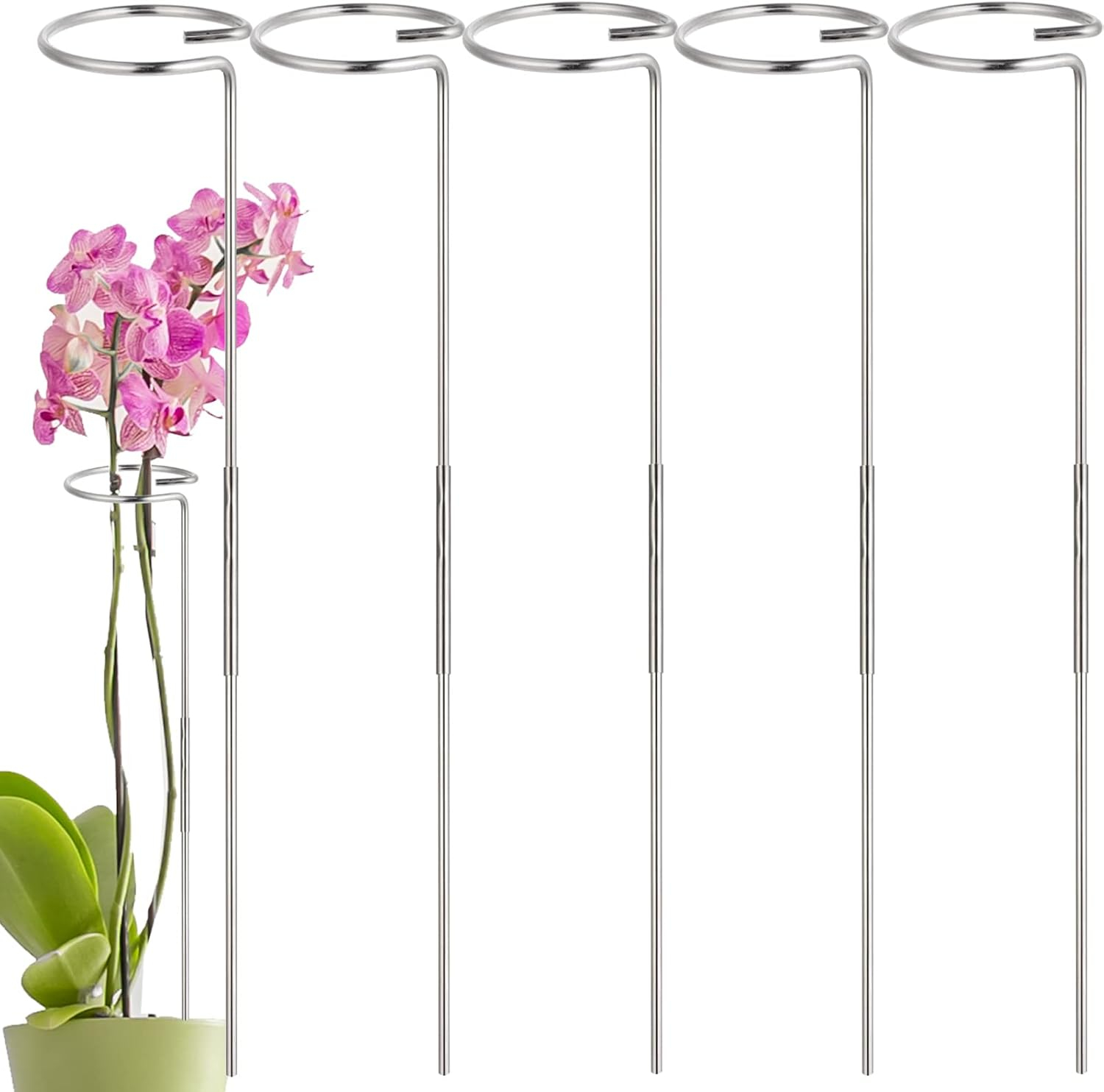 30 Inch Plant Stakes for Flowers - 5 Pack (DIY), Stainless Steel Garden Tall Single Stem Support Stake Plant Cage Support Rings for Flowers Amaryllis Tomatoes Peony Lily Rose Narcissus
