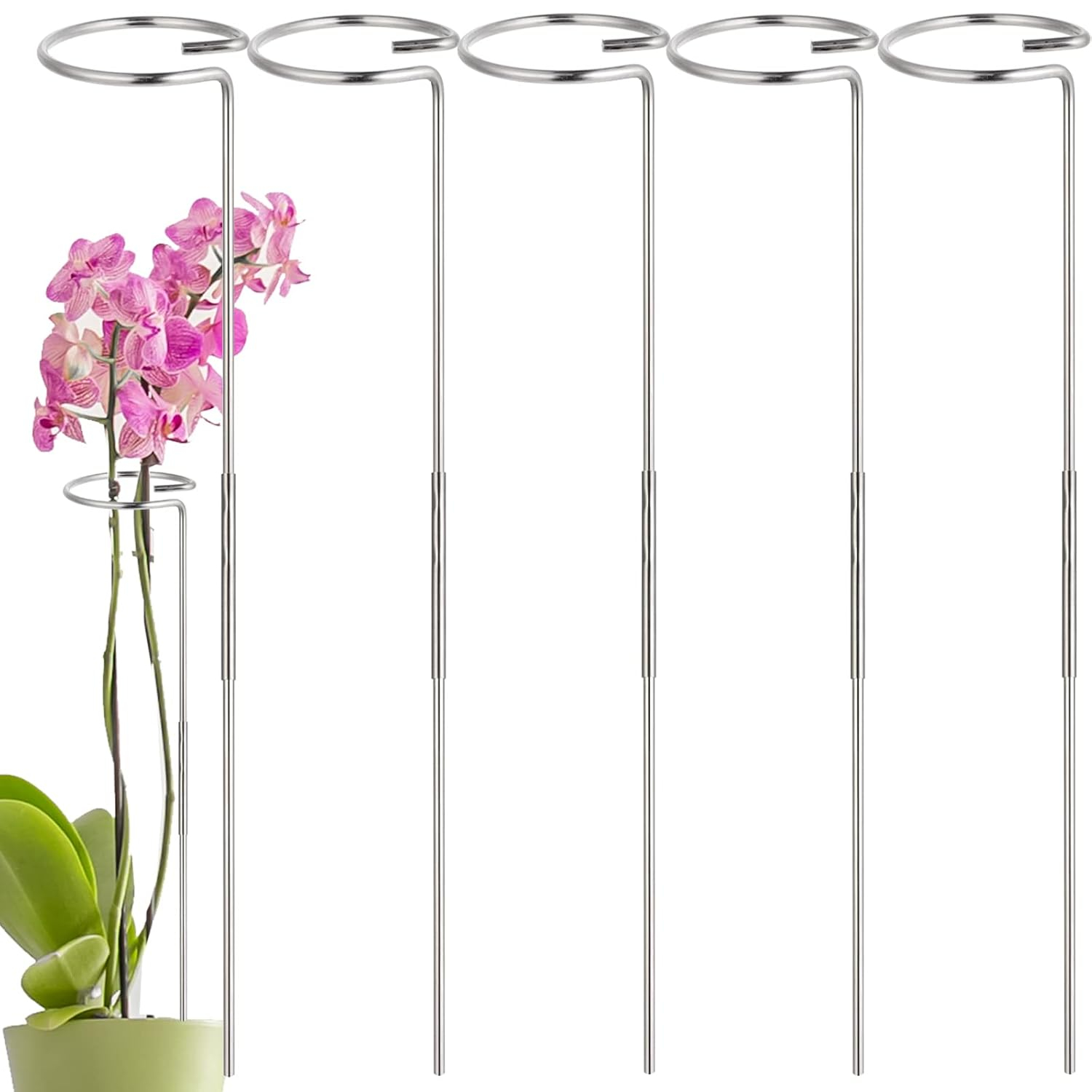 30 Inch Plant Stakes for Flowers - 5 Pack (DIY), Stainless Steel Garden Tall Single Stem Support Stake Plant Cage Support Rings for Flowers Amaryllis Tomatoes Peony Lily Rose Narcissus