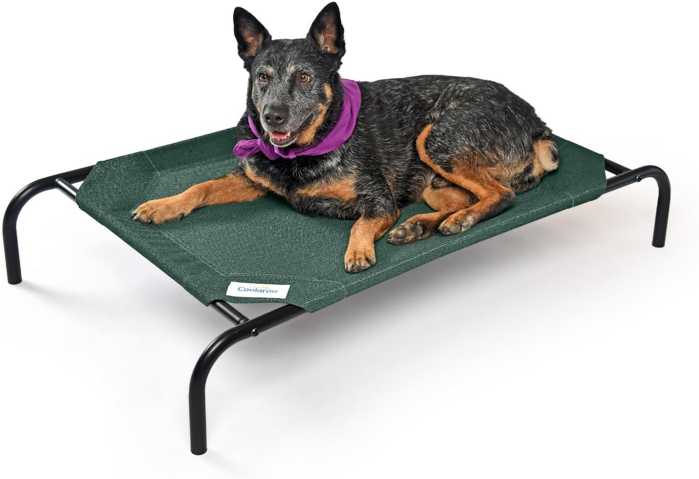 The Original Coolaroo Elevated Pet Dog Bed for Indoors & Outdoors, Medium, Green