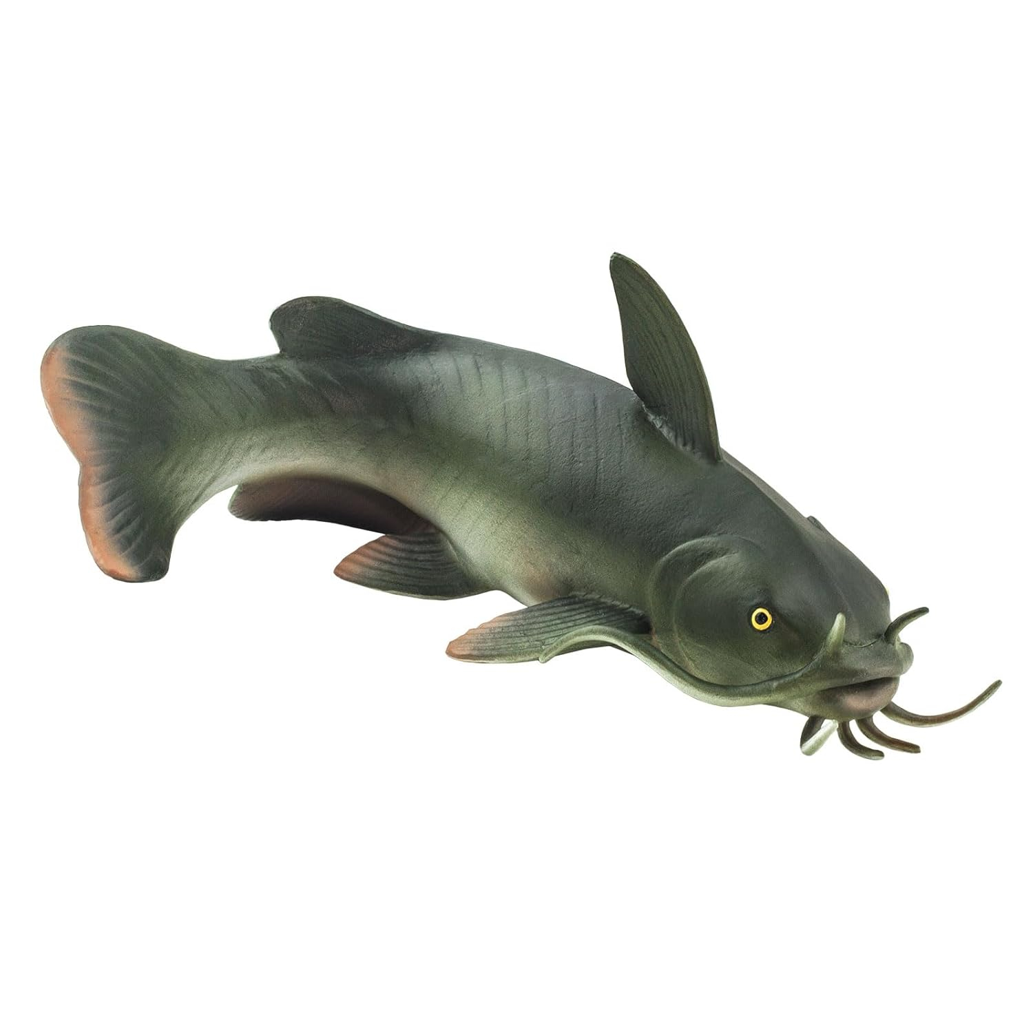 Safari Ltd. Catfish Figurine - Realistic 6" Fish Figure - Educational Toy for Boys, Girls, and Kids Ages 3+