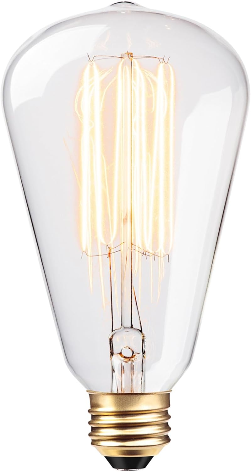 Globe Electric 60W Vintage Edison S-Type Clear Glass Dimmable Incandescent Light Bulb, 83008