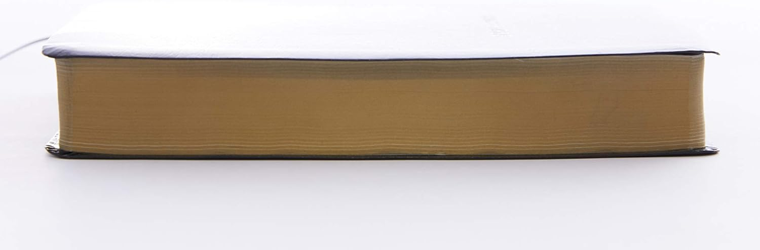 KJV, Reference Bible, Personal Size Giant Print, Leather-Look, Black, Red Letter Edition - Large Print by  Thomas Nelson (Paperback)