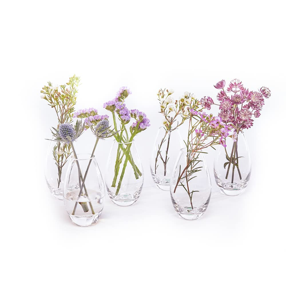 CHIVE ‘George’ Glass Bottle Flower Vases — Set of 6 — Small, Elegant Clear Glass Bud Vases — Bulk Pack for Home Decor & Table Centerpieces — Shape 5 (Oval, 5” Tall, 2.5” Wide)