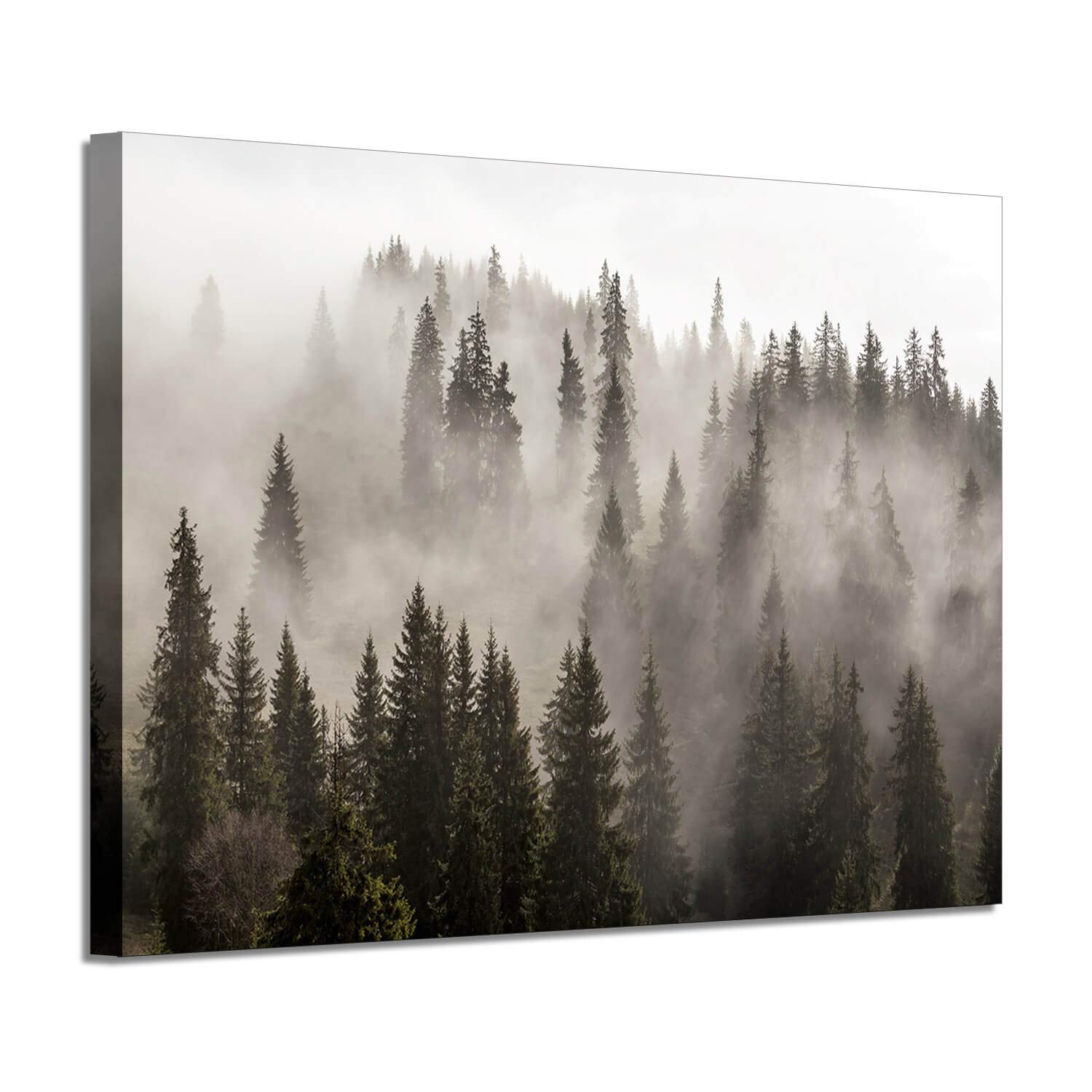 Foggy Forest Picture Wall Art: Landscape Artwork Photographic Print on Canvas for Office (45" W x 30" H,Multi-Sized)