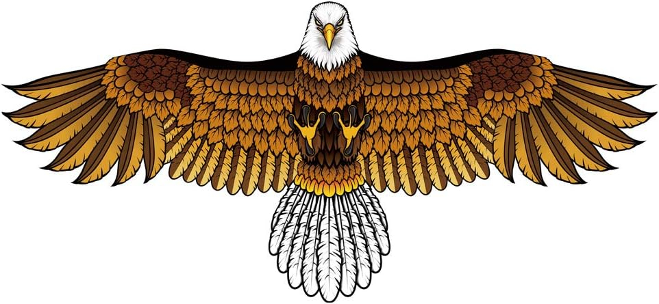 Mint s Colorful Life Eagle Kite for Kids Adults with 60 Wingspan