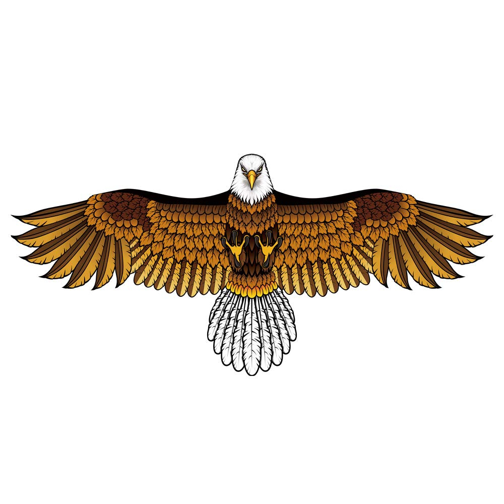 Mint s Colorful Life Eagle Kite for Kids Adults with 60 Wingspan