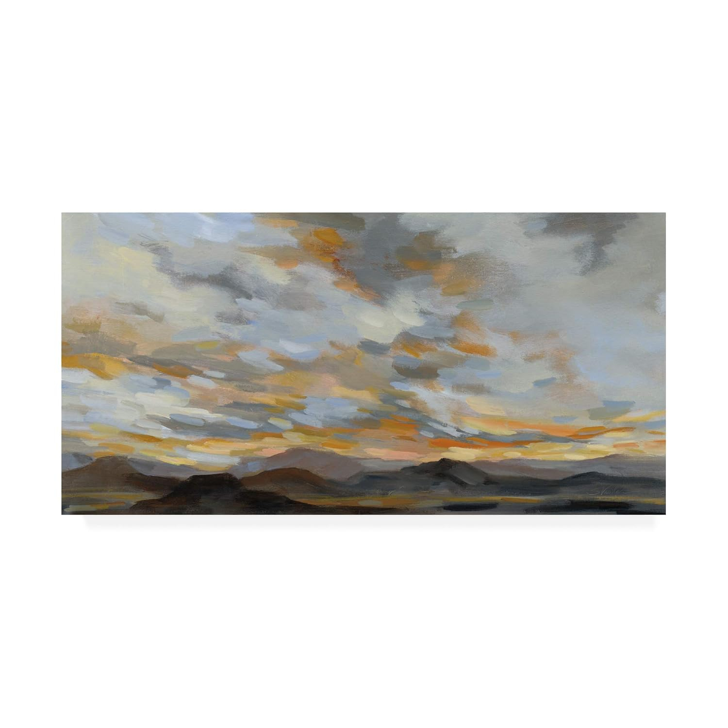 Trademark Fine Art 'High Desert Sky I' Canvas Art by Silvia Vassileva