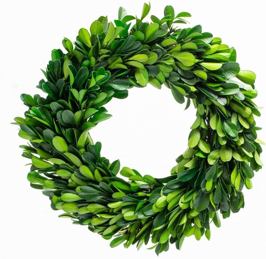 Boxwood Wreath 10 inch Preserved Nature Boxwood Wreath Home Decor Stay Fresh for Years Thanksgiving, Christmas Rustic Farmhouse Holiday Home Decor, Green