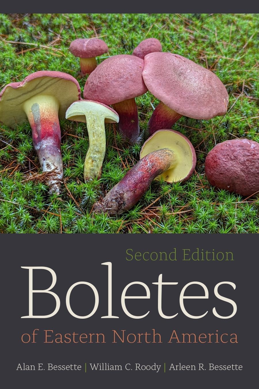 Boletes of Eastern North America - 2nd Edition by  Alan Bessette & William C Roody & Arleen Bessette (Paperback)