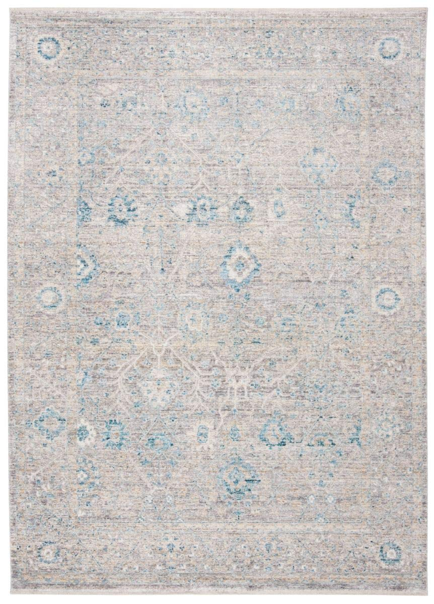 SAFAVIEH Dream Giles Floral Area Rug, Grey/Turquoise, 2'6" x 4'