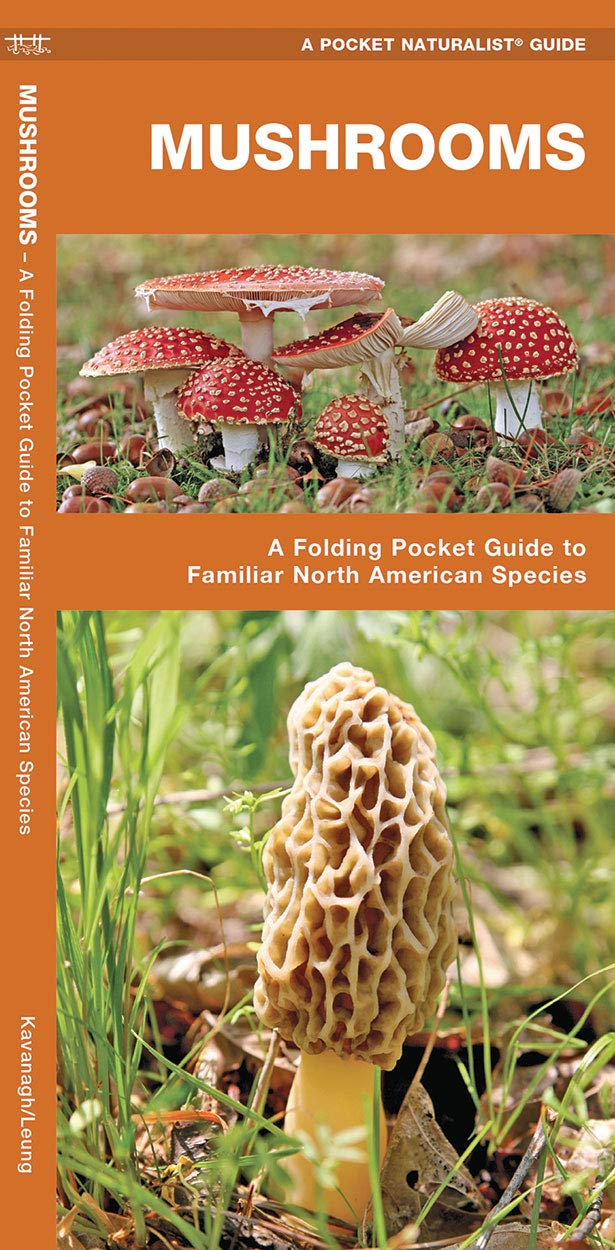Pocket Naturalist Guides: Mushrooms: An Introduction to Familiar North American Species (Other)