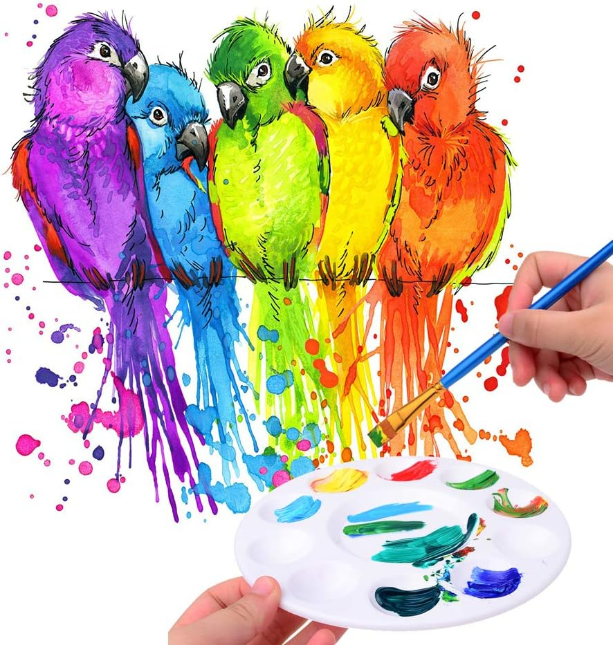 White Plastic Paint Tray Palettes for Kids and Adults