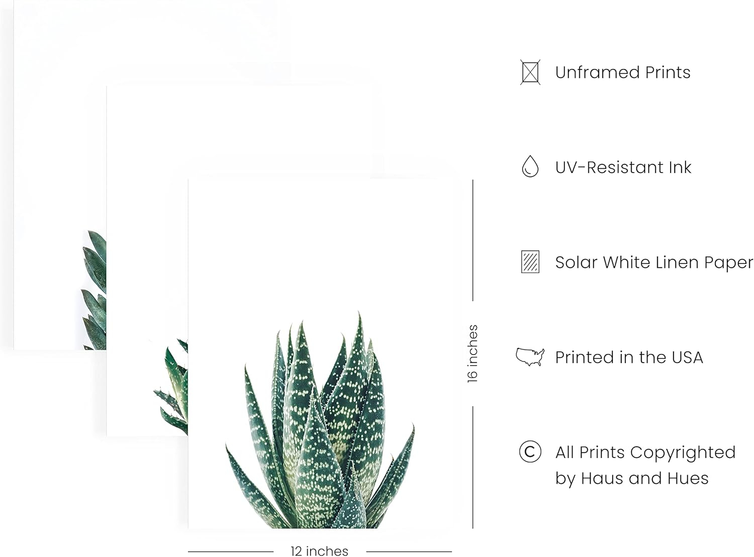 HAUS AND HUES Plant Pictures Wall Art Set of 3 - Plant Art, Minimalist Succulent, Plant Posters for Room Aesthetic, Leaf Prints, Botanical, Cactus Green Pictures for Bedroom (12x16, UNFRAMED)