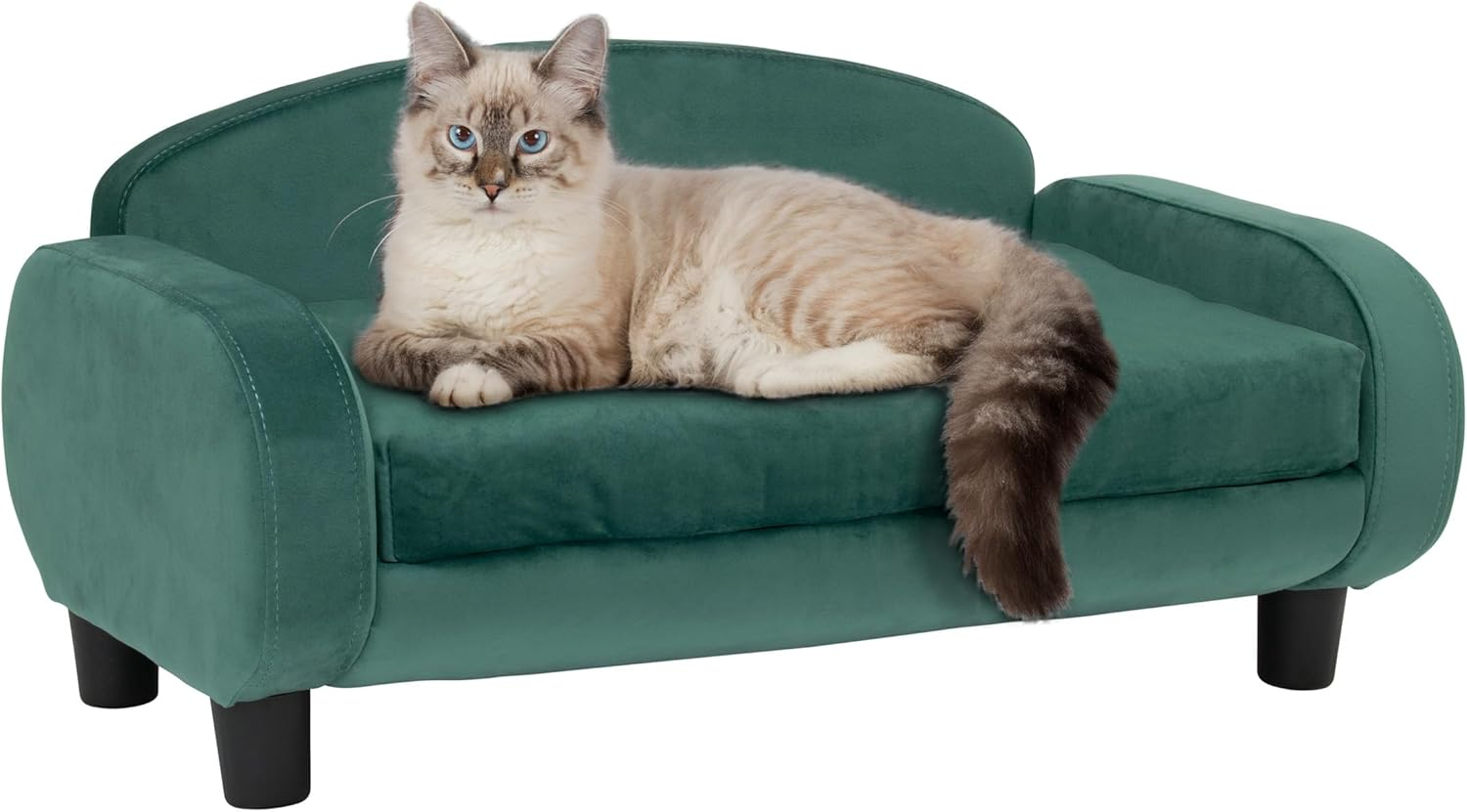 Paws & Purrs Modern Pet Sofa 31.5" Wide Low Back Lounging Bed with Removable Mattress Cover in Espresso / Teal - 61014