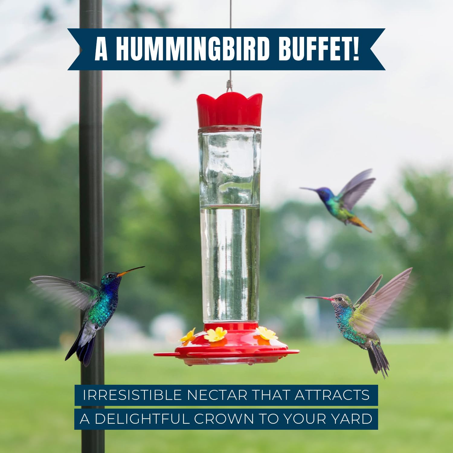 MEKKAPRO Premium Hummingbird Nectar - 60oz - Attract, Delight, and Energize Your Garden with Our Irresistible Sugar-Packed Formula - No Mess, No Fridge Needed - Ready-to-Use Convenience
