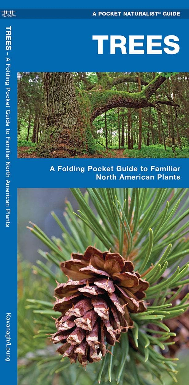 Wildlife and Nature Identification: Trees : A Folding Pocket Guide to Familiar North n Plants (Other)