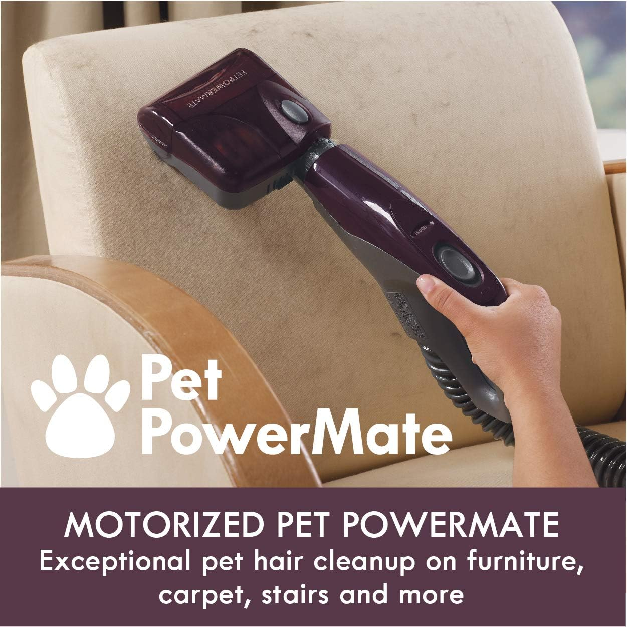 Compact Purple Bagless Canister Vacuum with HEPA Filter for Pets