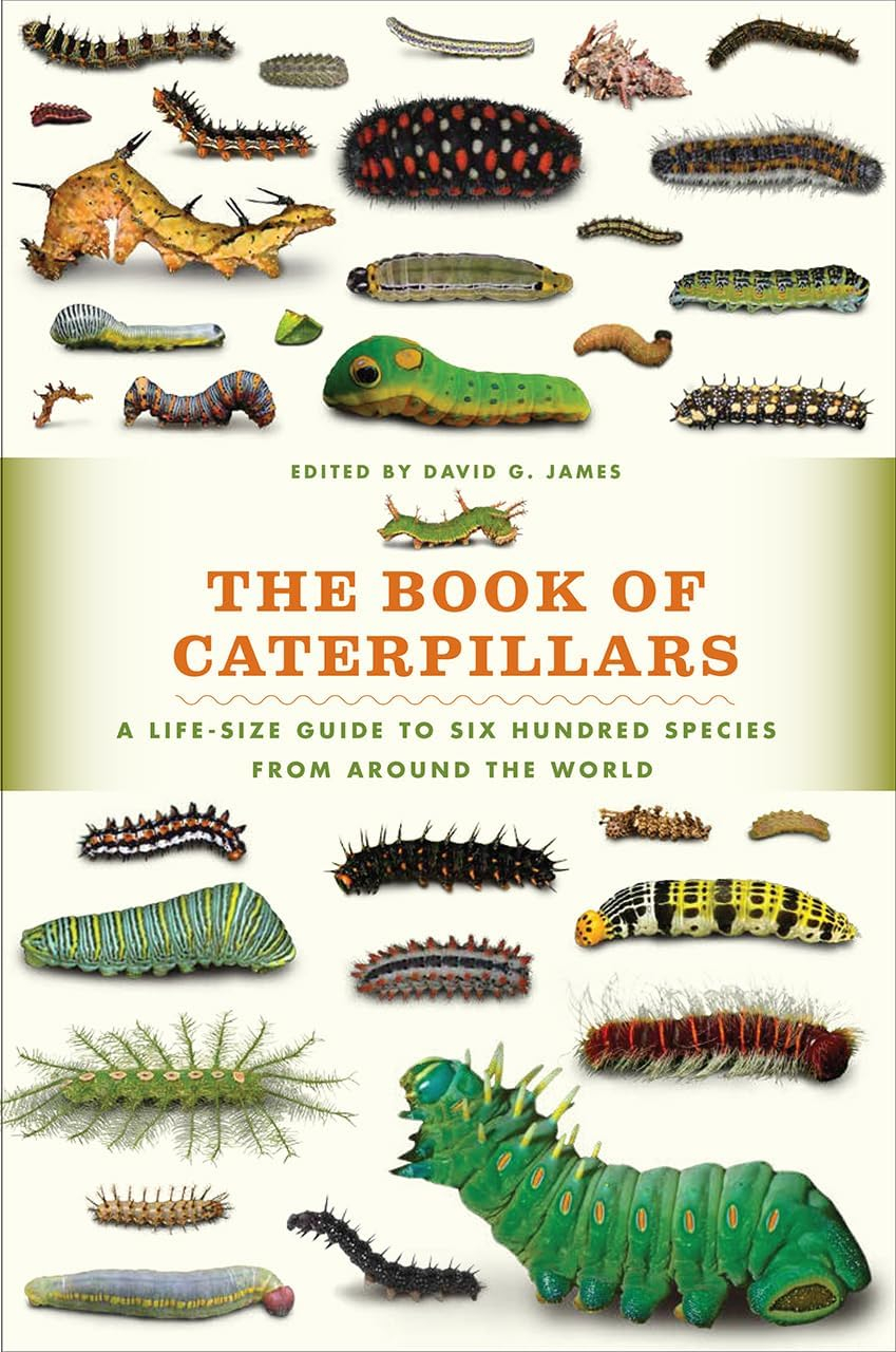 The Book of Caterpillars: A Life-Size Guide to Six Hundred Species from Around the World, (Hardcover)