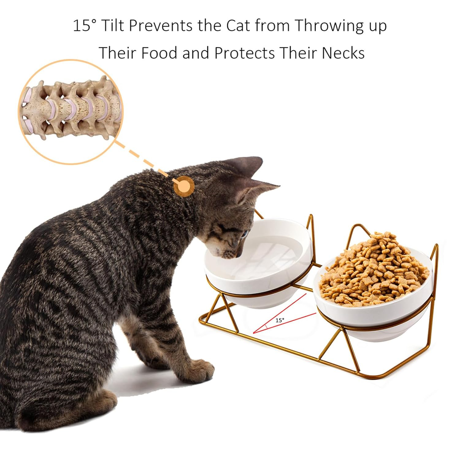 Cat Bowls, Double Ceramic Pet Bowls with 15°Tilted Raised Stand for Food and Water, Anti Vomiting Cat Dish Feeder, Perfect for Puppy Cats and Small Dogs(Double Bowls1)