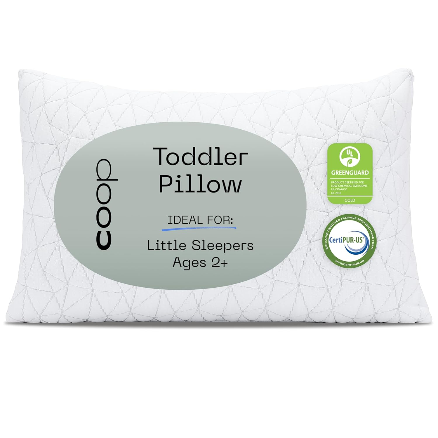 Coop Home Goods Memory Foam Toddler Pillow for Sleeping