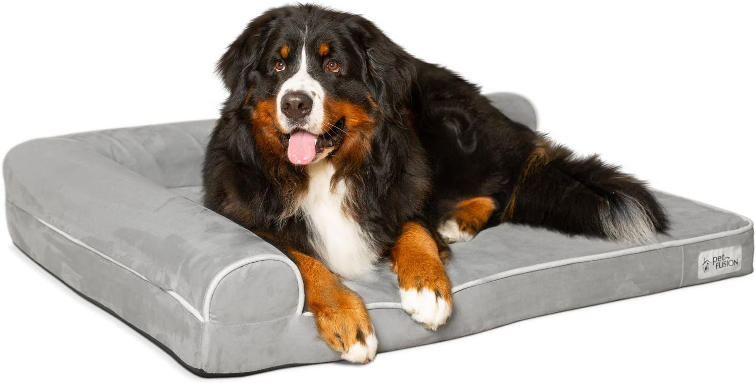 PetFusion Orthopedic Dog Bed | CertiPUR-US Memory Foam | Medium / Large & XL