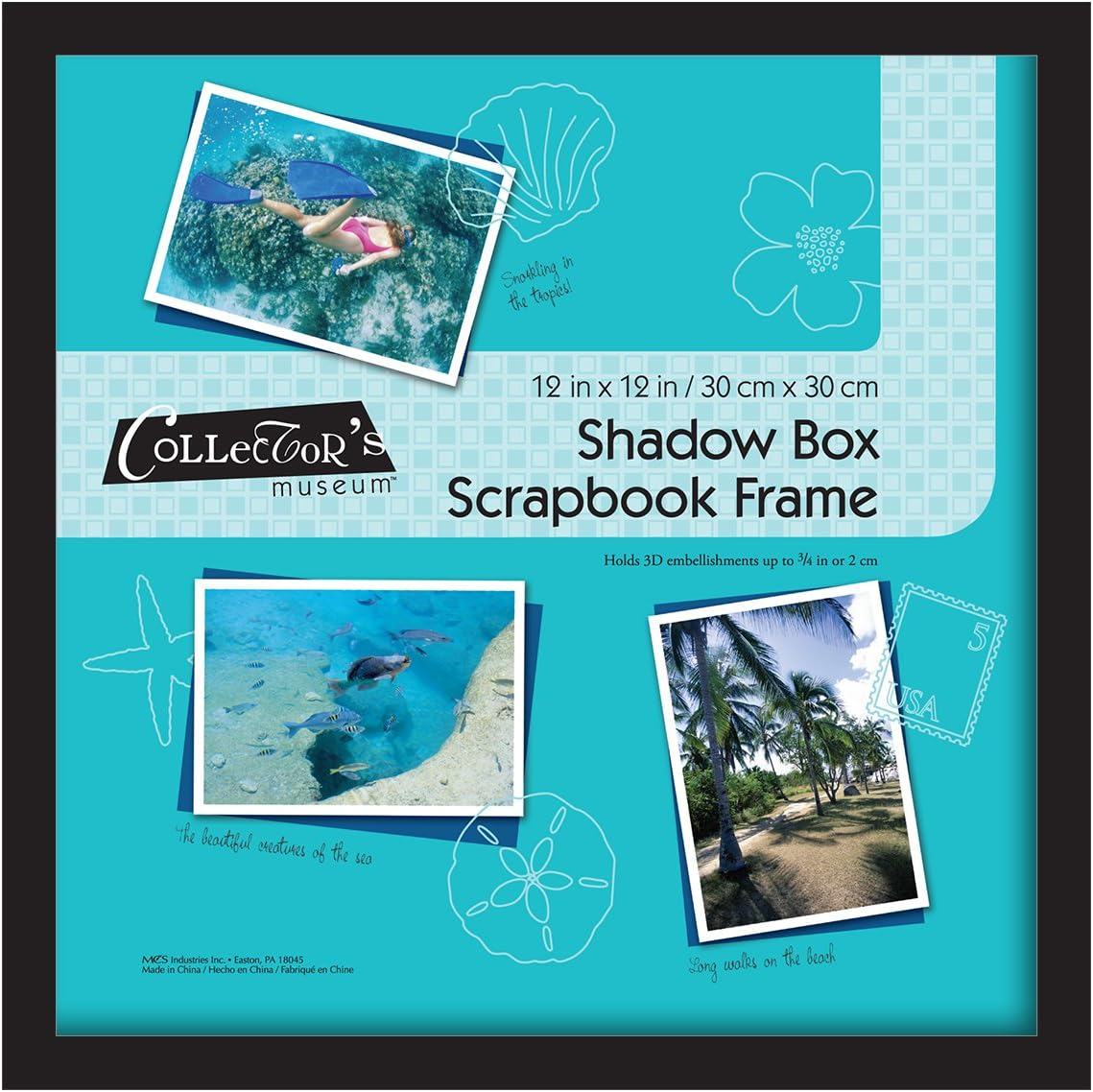 Black Wood 12.75 x 12.75 Shadow Box Frame