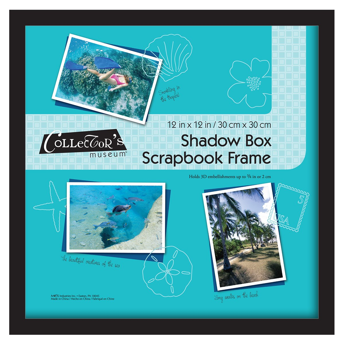 Black Wood 12.75 x 12.75 Shadow Box Frame