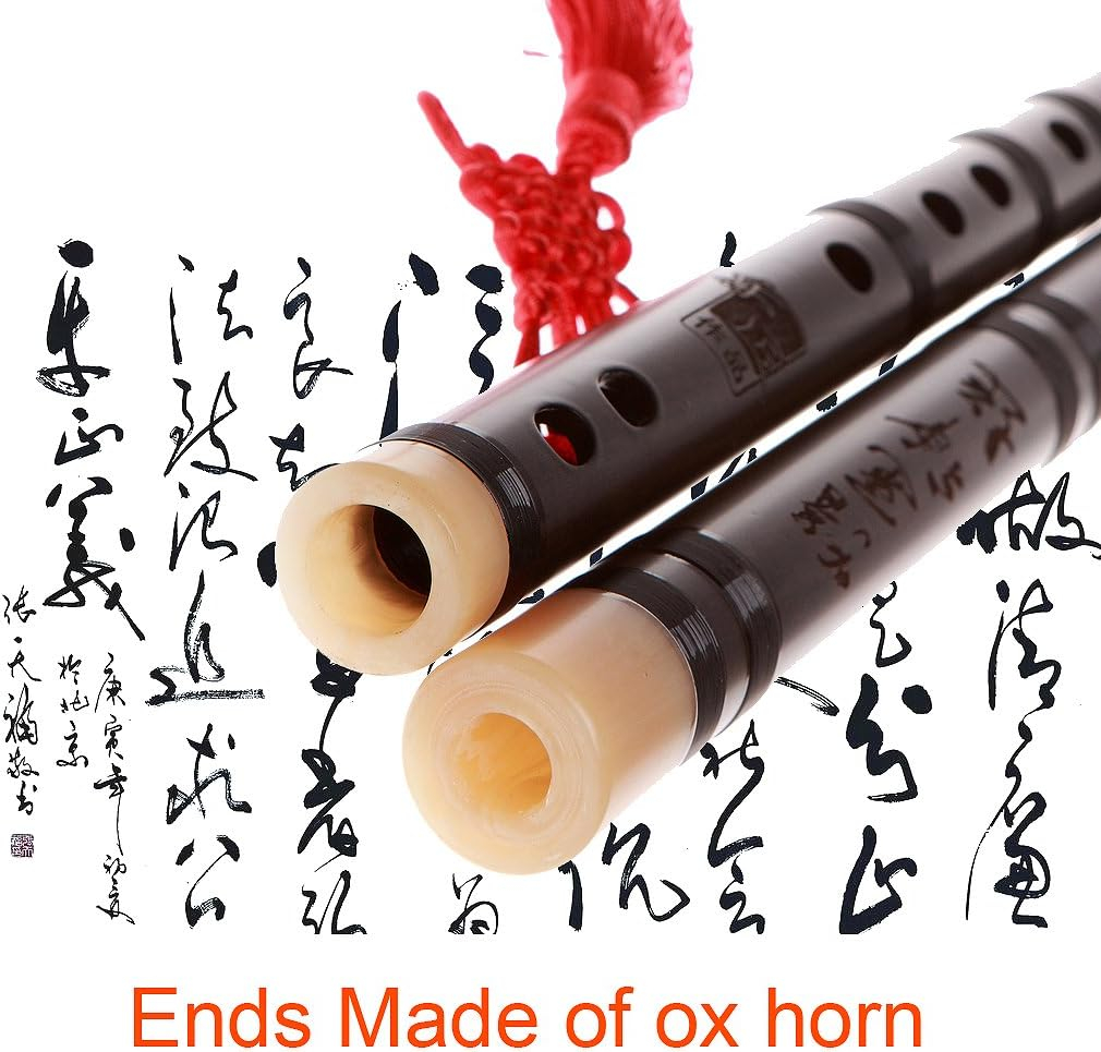 Professional Flute Dizi,NICOSHINE Chinese Instrument Aged Rosewood Dizi D key