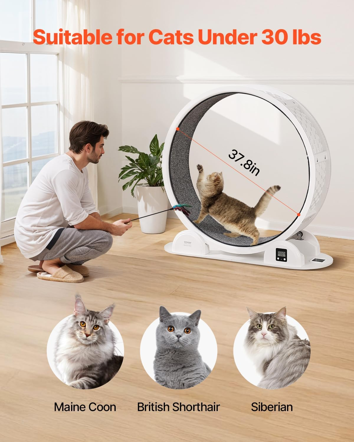 Large White and Gray ABS Cat Exercise Wheel with Pedometer